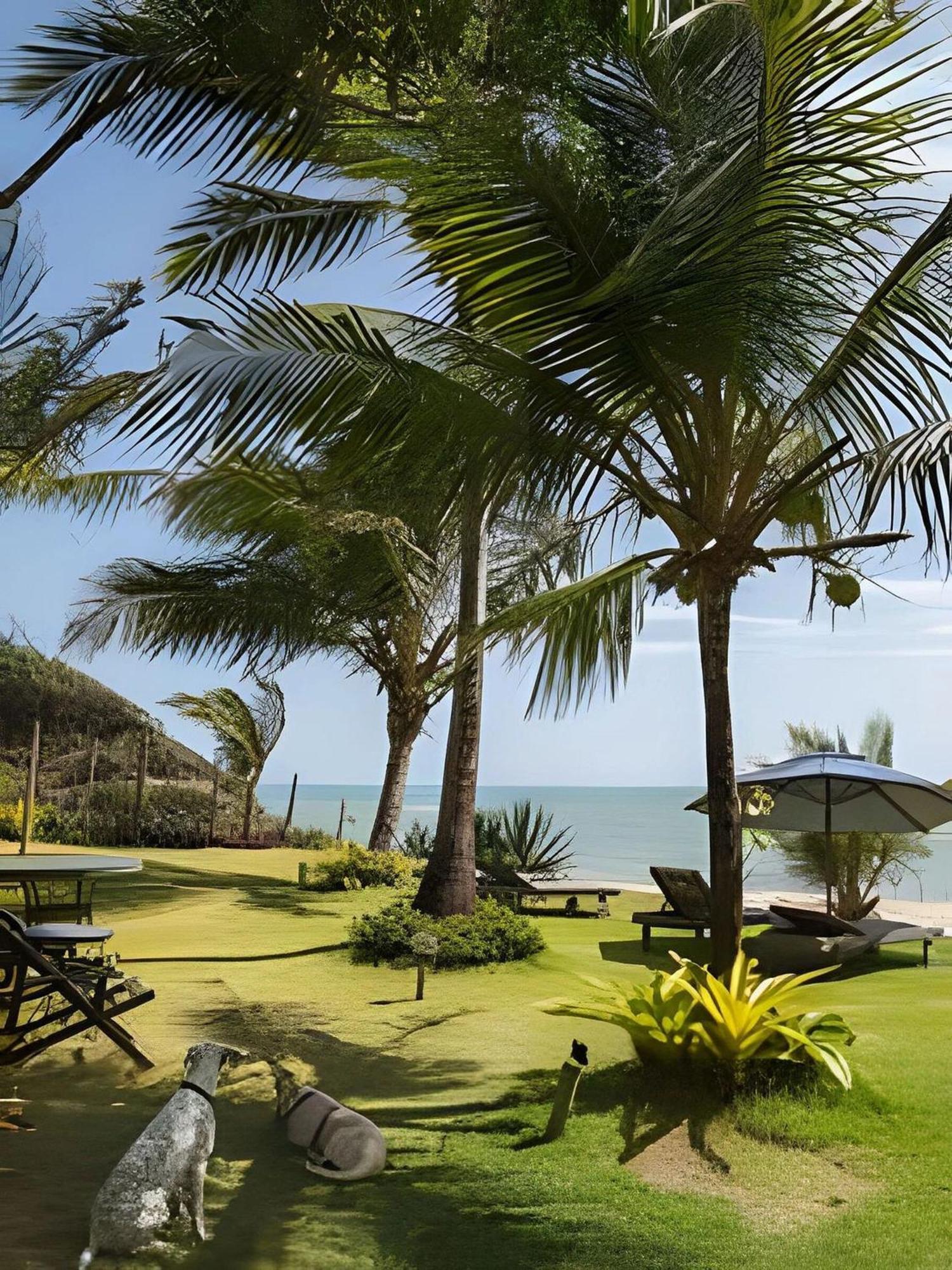 Suíte na falésia Praia de Pipa Extérieur photo